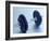 Weights-Chris Trotman-Framed Photographic Print