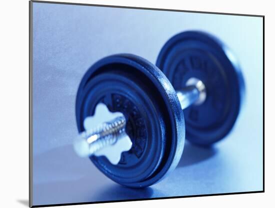 Weights-Chris Trotman-Mounted Photographic Print