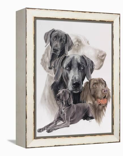 Weimaraner and Ghost-Barbara Keith-Framed Premier Image Canvas