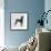 Weimaraner (Canis Lupus), Canidae, Drawing-null-Framed Giclee Print displayed on a wall