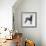 Weimaraner (Canis Lupus), Canidae, Drawing-null-Framed Giclee Print displayed on a wall