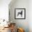 Weimaraner (Canis Lupus), Canidae, Drawing-null-Framed Giclee Print displayed on a wall