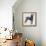 Weimaraner (Canis Lupus), Canidae, Drawing-null-Framed Premier Image Canvas displayed on a wall