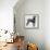 Weimaraner (Canis Lupus), Canidae, Drawing-null-Framed Premier Image Canvas displayed on a wall