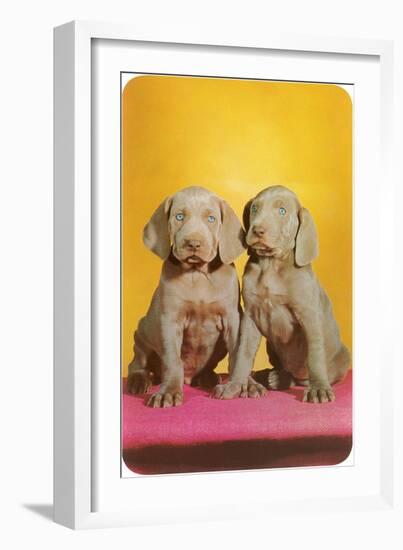 Weimaraner Puppies-null-Framed Premium Giclee Print