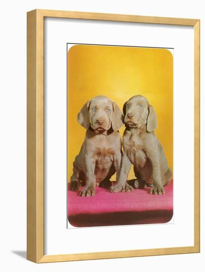 Weimaraner Puppies-null-Framed Art Print