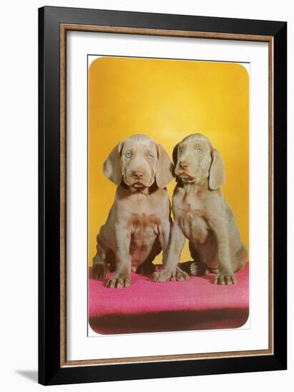 Weimaraner Puppies-null-Framed Art Print