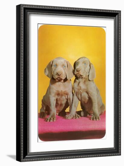 Weimaraner Puppies-null-Framed Art Print