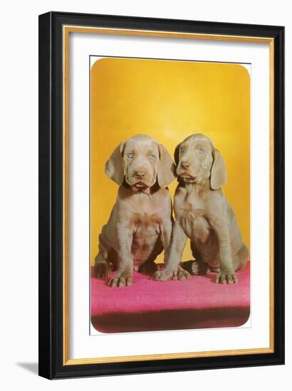 Weimaraner Puppies-null-Framed Art Print