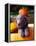 Weimaraner Puppy Inside Pumpkin-Guy Cali-Framed Premier Image Canvas