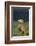 Weimaraner Sitting in Field-DLILLC-Framed Photographic Print