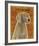 Weimaraner-John W^ Golden-Framed Art Print