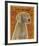 Weimaraner-John W^ Golden-Framed Art Print