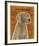 Weimaraner-John W^ Golden-Framed Art Print