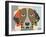 Weimaraner-Lanre Adefioye-Framed Giclee Print