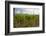 Weinberg Bei Alaverdi, Vineyard with Vines Near Alaverdi, Georgia-Michael Runkel-Framed Photographic Print