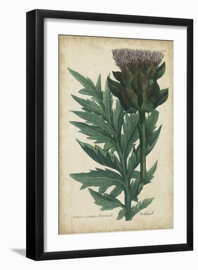 Weinmann Foliage and Fruit II-Weinmann-Framed Art Print