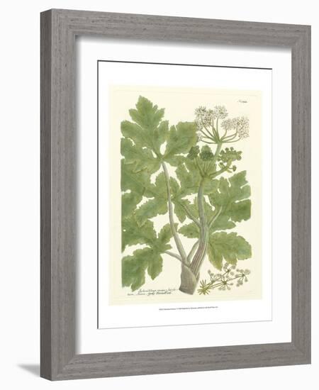 Weinmann Greenery I-Johann Wilhelm Weinmann-Framed Art Print