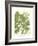 Weinmann Greenery I-Johann Wilhelm Weinmann-Framed Art Print