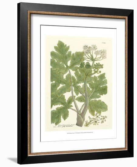 Weinmann Greenery I-Johann Wilhelm Weinmann-Framed Art Print