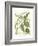 Weinmann Greenery II-Johann Wilhelm Weinmann-Framed Art Print