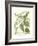 Weinmann Greenery II-Johann Wilhelm Weinmann-Framed Art Print