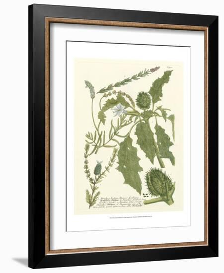 Weinmann Greenery II-Johann Wilhelm Weinmann-Framed Art Print