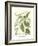 Weinmann Greenery II-Johann Wilhelm Weinmann-Framed Art Print