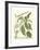 Weinmann Greenery II-Johann Wilhelm Weinmann-Framed Art Print