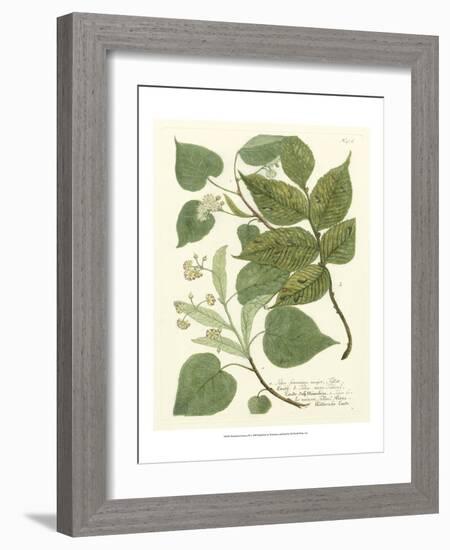 Weinmann Greenery III-Johann Wilhelm Weinmann-Framed Art Print