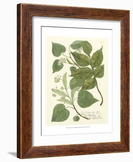 Weinmann Greenery III-Johann Wilhelm Weinmann-Framed Art Print