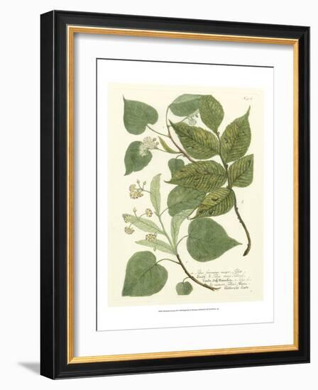 Weinmann Greenery III-Johann Wilhelm Weinmann-Framed Art Print