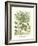 Weinmann Greenery IV-Johann Wilhelm Weinmann-Framed Art Print