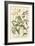 Weinmann's Garden VI-Johann Weinmann-Framed Art Print