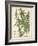 Weinmann Tropical Plants I-Johann Weinmann-Framed Art Print