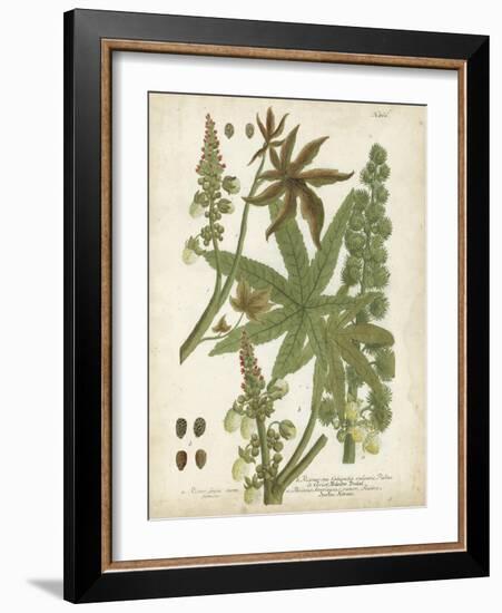 Weinmann Tropical Plants I-Johann Weinmann-Framed Art Print