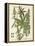 Weinmann Tropical Plants I-Johann Weinmann-Framed Stretched Canvas
