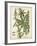 Weinmann Tropical Plants I-Johann Weinmann-Framed Art Print