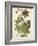 Weinmann Tropical Plants II-Johann Weinmann-Framed Art Print