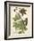 Weinmann Tropical Plants II-Johann Weinmann-Framed Art Print