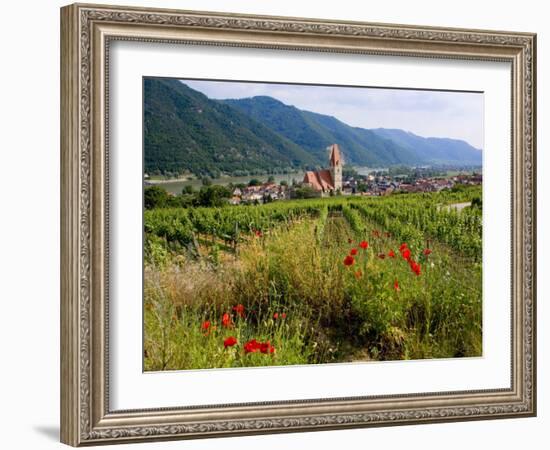 Weissenkirchen Pfarrkirche and Vineyards, Wachau, Lower Austria, Austria-Charles Bowman-Framed Photographic Print