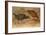 Weka Rail (Ocydromus Australis), C.1851-76-Joseph Wolf-Framed Giclee Print