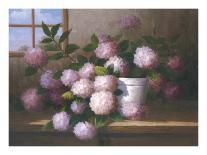 Hydrangea Blossoms II-Welby-Framed Art Print
