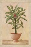Potted Lemon Tree-Welby-Stretched Canvas