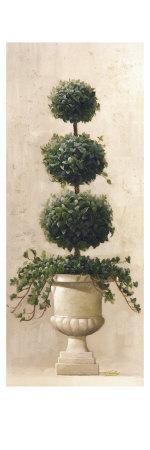Potted Lemon Tree Art Print Welby Art Com
