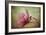 Welcome Spring-Jai Johnson-Framed Giclee Print