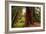 Welcome to Muir Woods 4-Vincent James-Framed Photographic Print