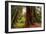 Welcome to Muir Woods 4-Vincent James-Framed Photographic Print