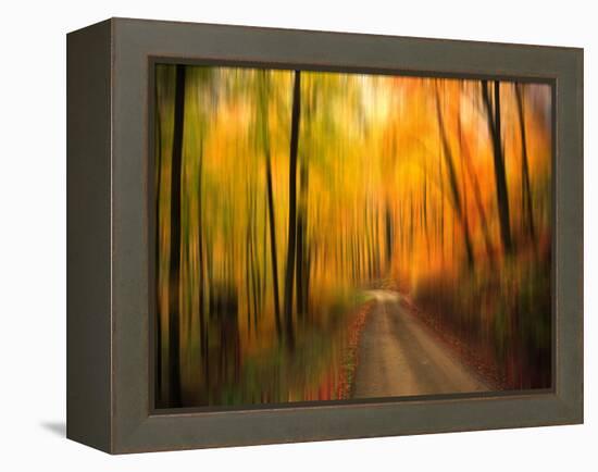 Welcome to My Fall-Philippe Sainte-Laudy-Framed Premier Image Canvas