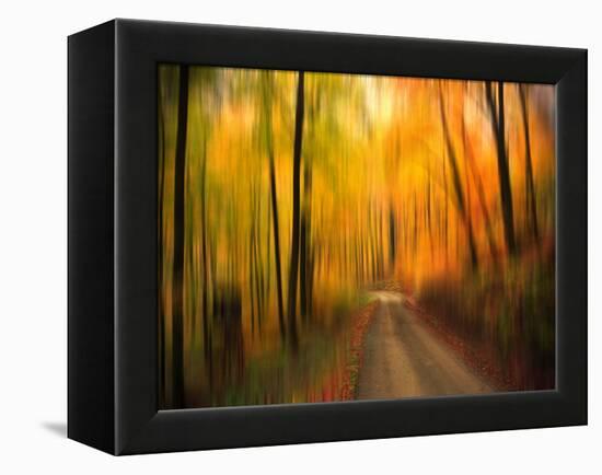 Welcome to My Fall-Philippe Sainte-Laudy-Framed Premier Image Canvas